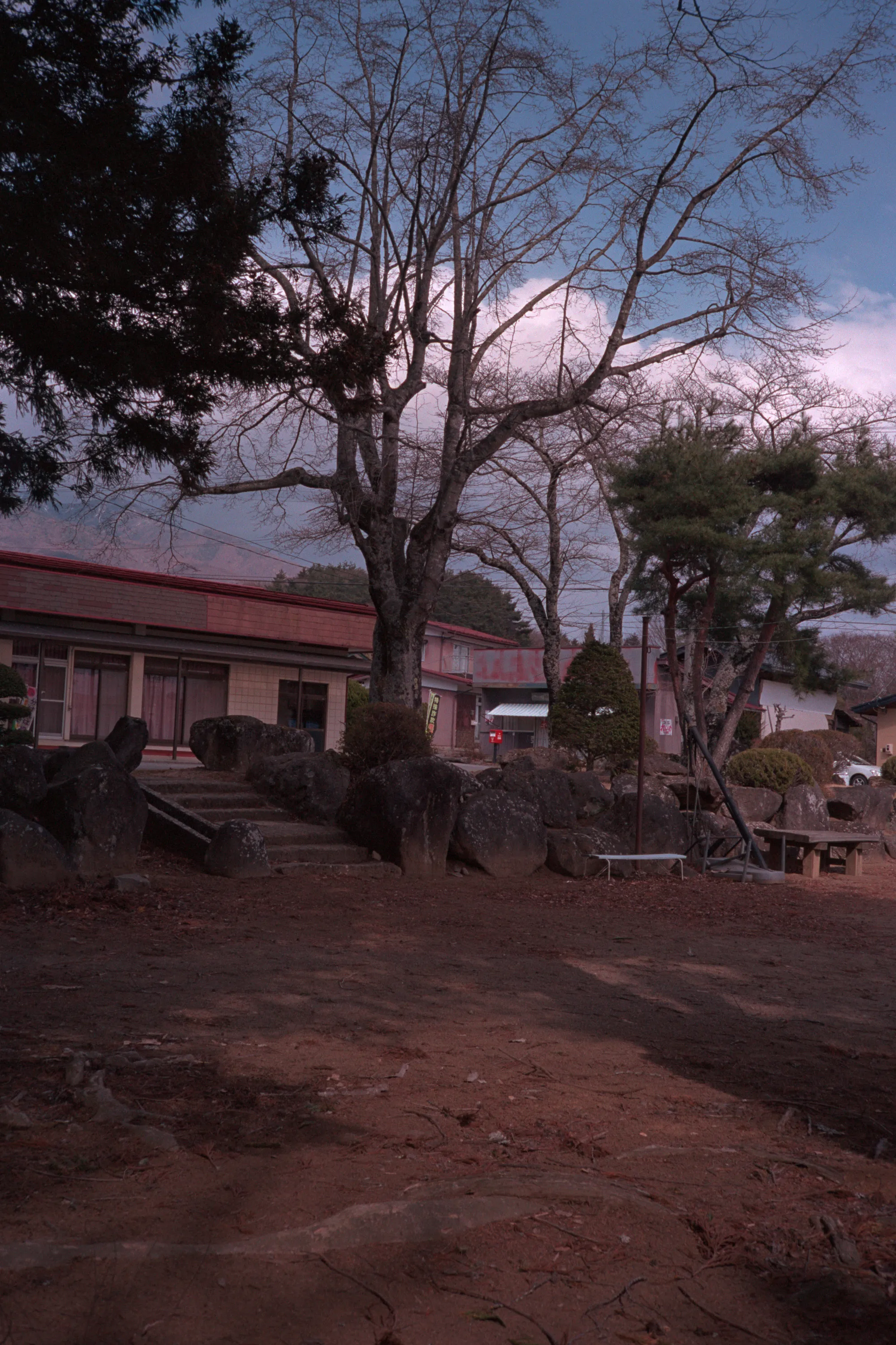 16-bit raw converted with PPRC — 20260324_01_11.jpg