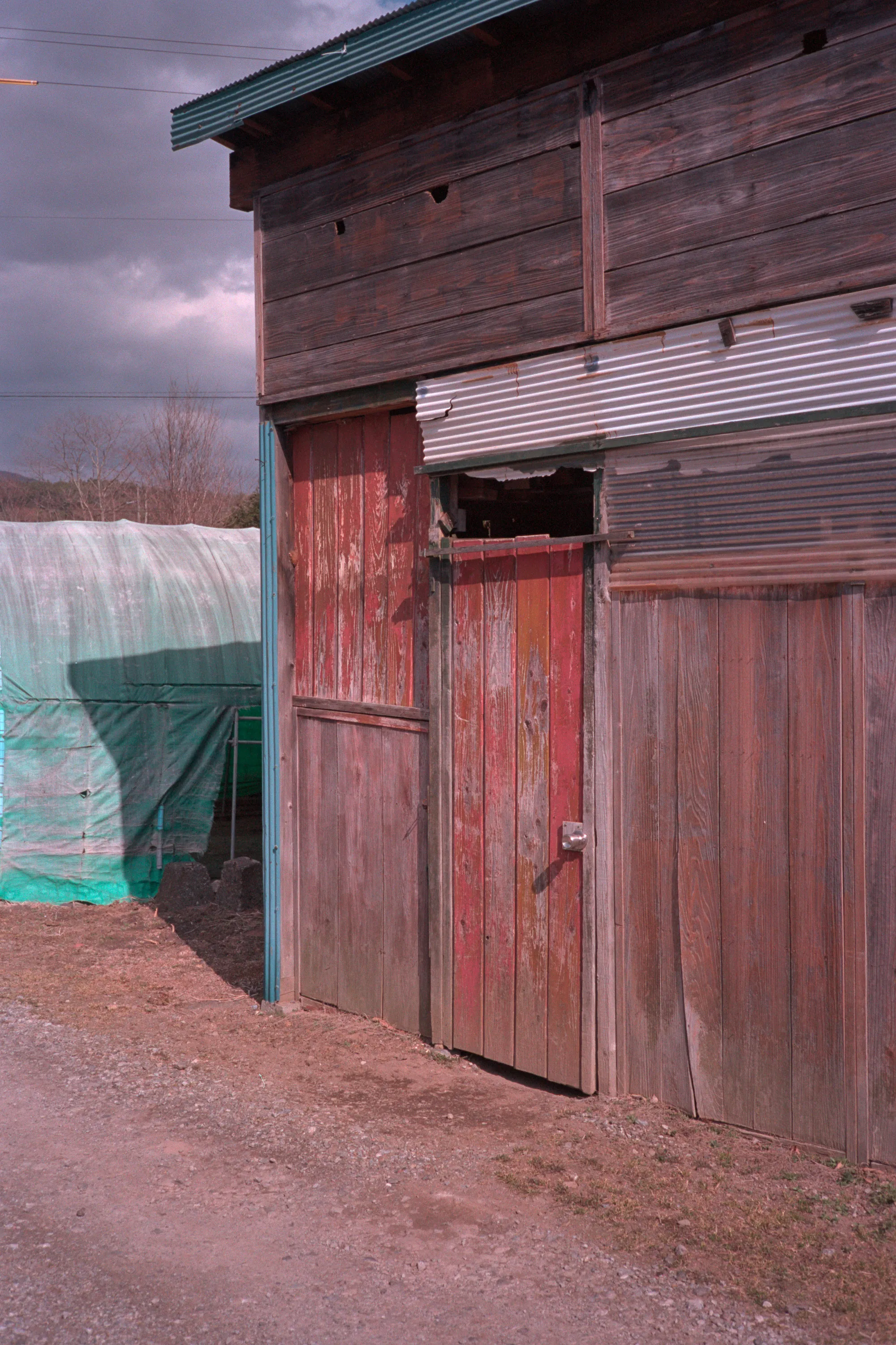 16-bit raw converted with PPRC — 20260324_01_15.jpg