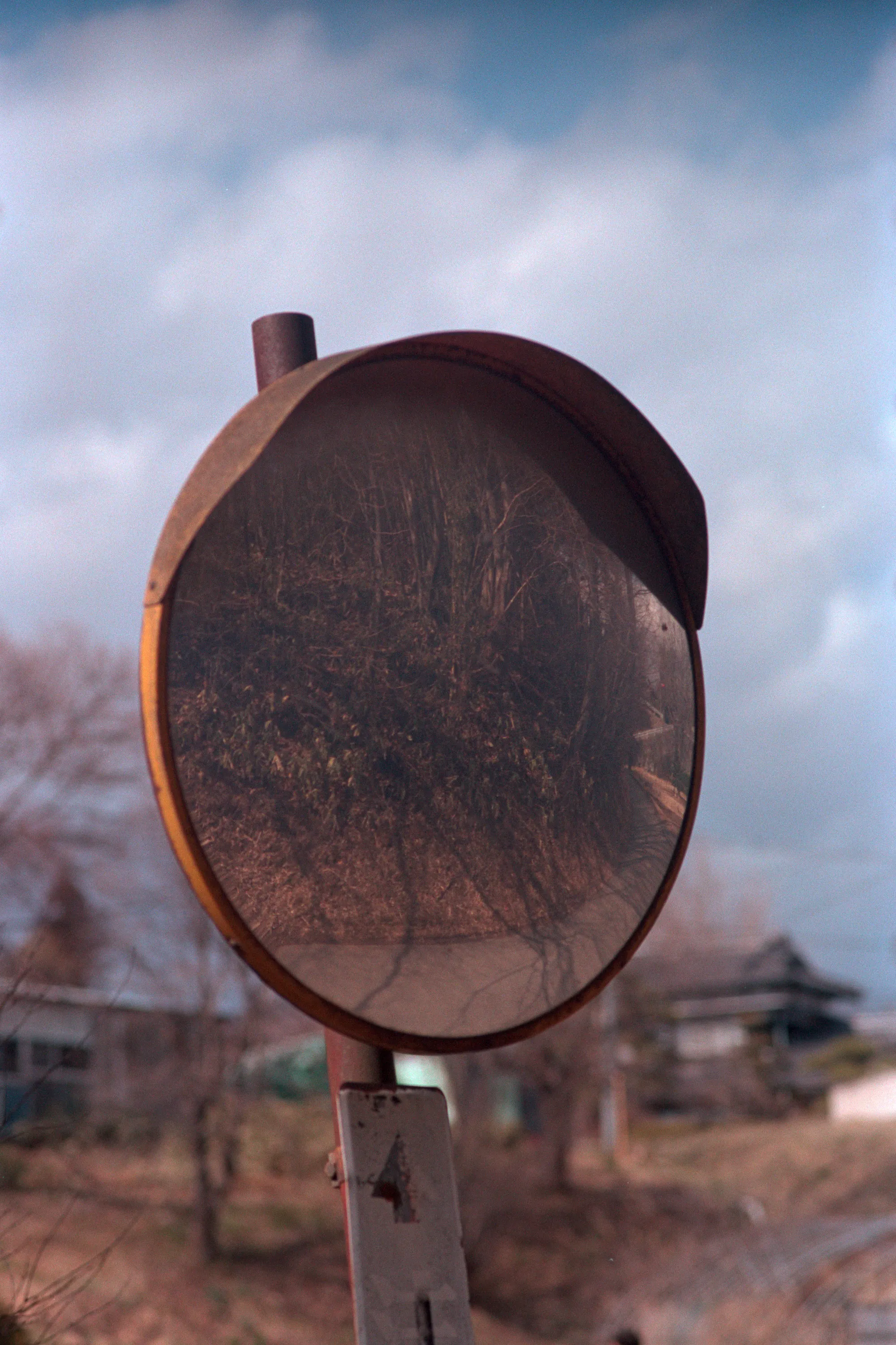 16-bit raw converted with PPRC — 20260326_01_15.jpg