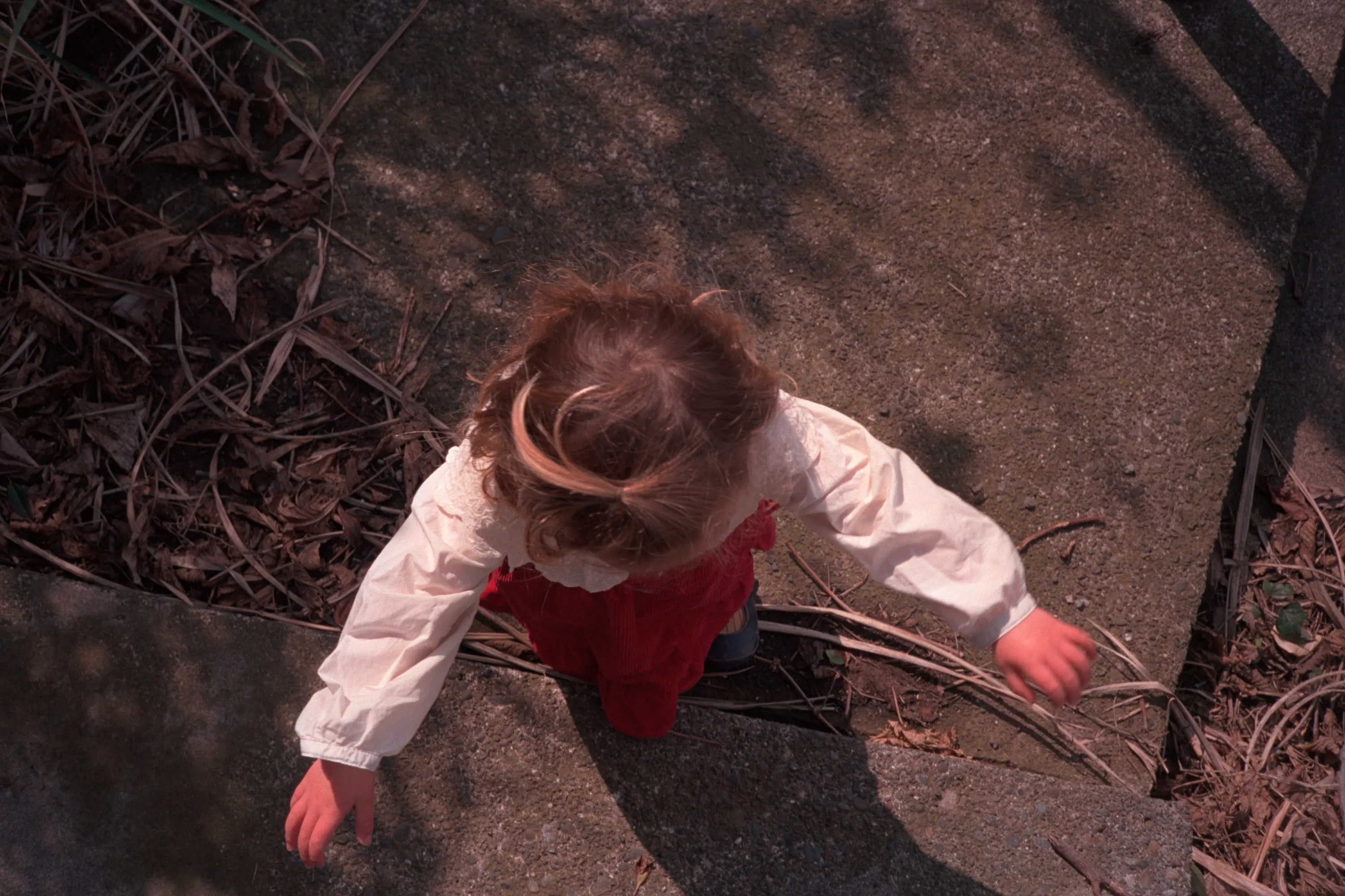 16-bit raw converted with PPRC — 20260328_01_26.jpg