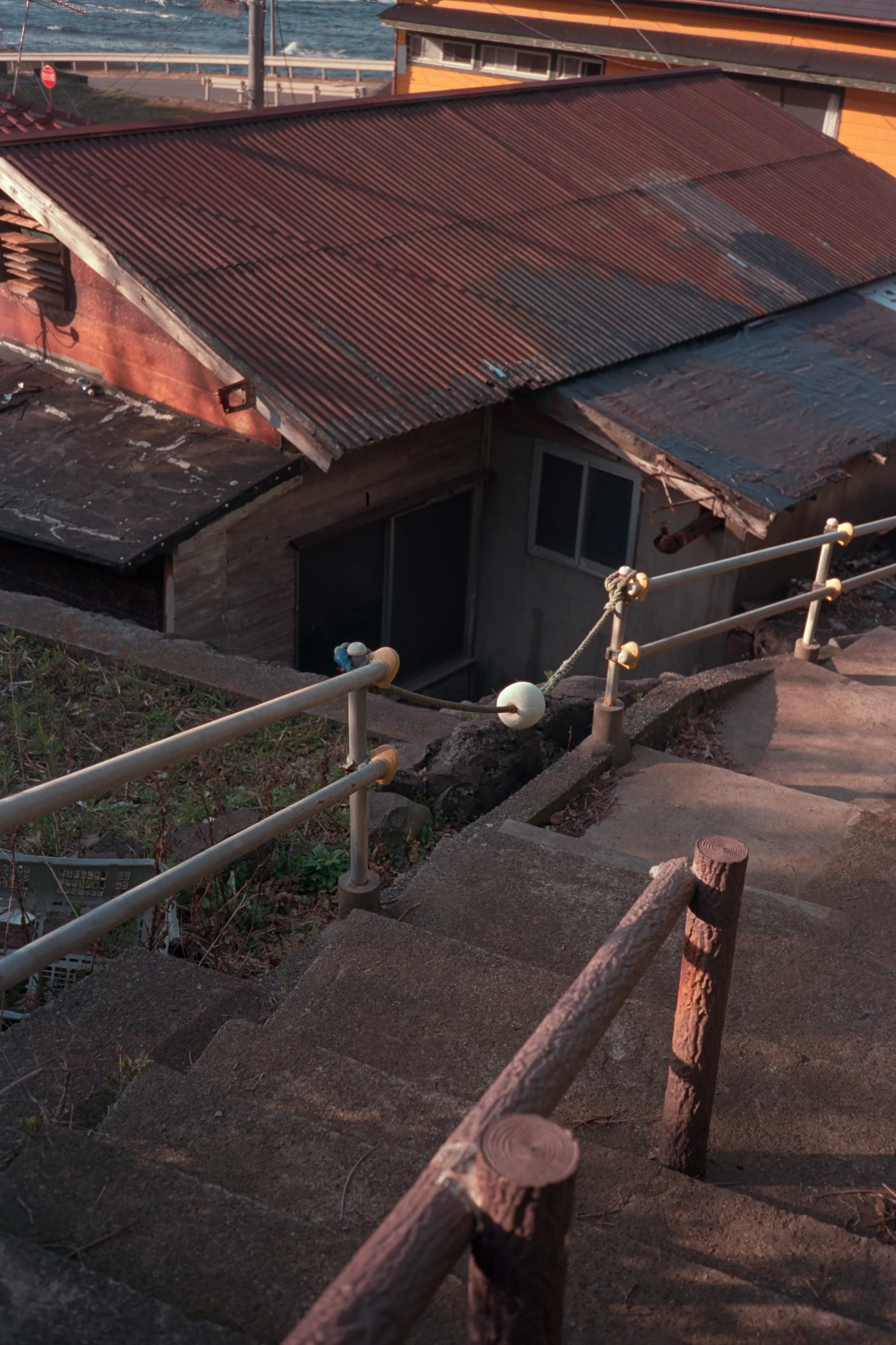 16-bit raw converted with PPRC — 20260329_01_11.jpg