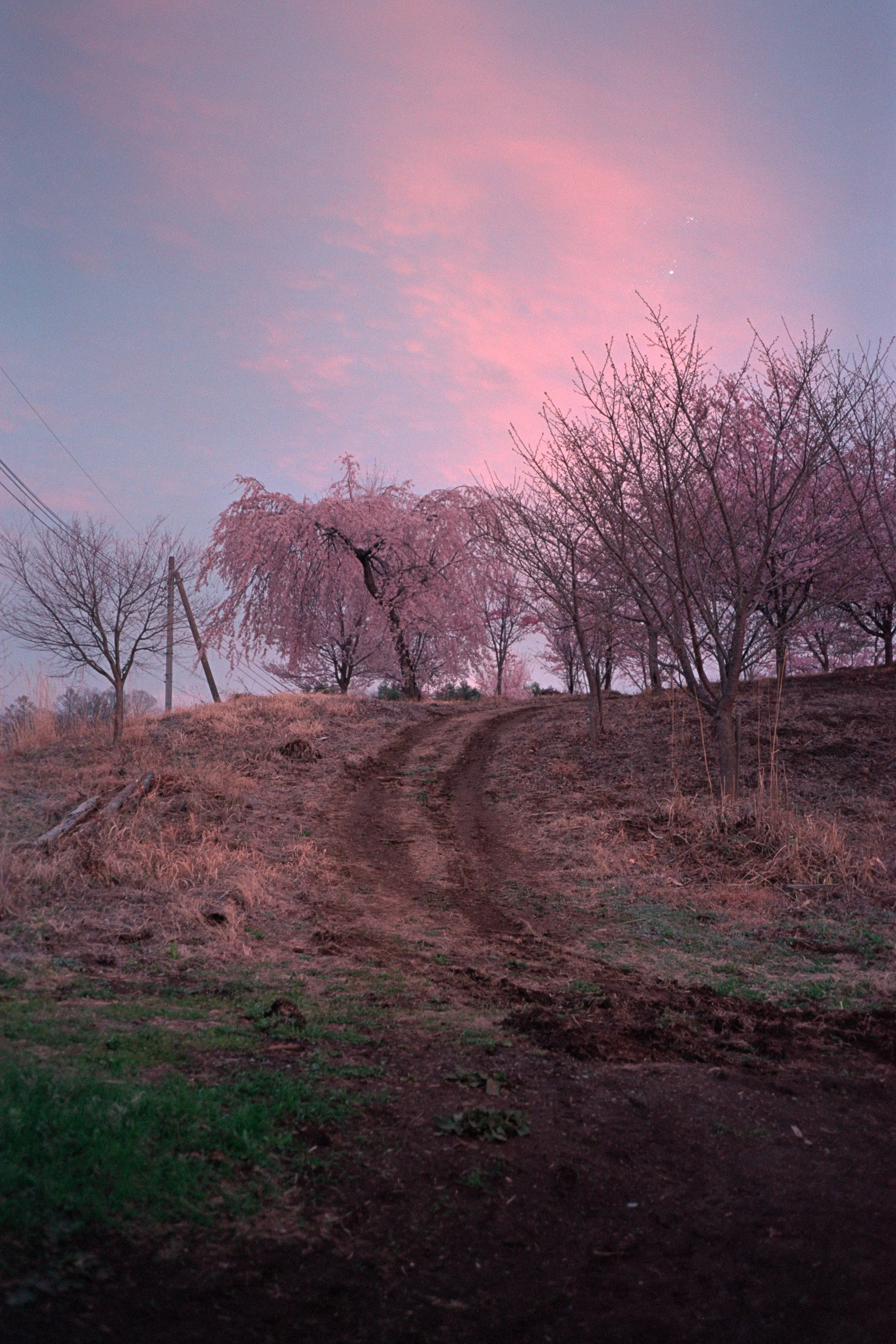 16-bit raw converted with PPRC — 20260406_01_24.jpg